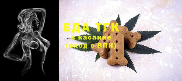 ECSTASY Бородино