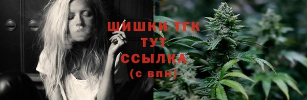 ECSTASY Бородино