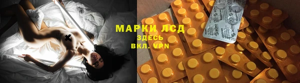 ECSTASY Бородино