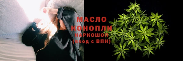 ECSTASY Бородино