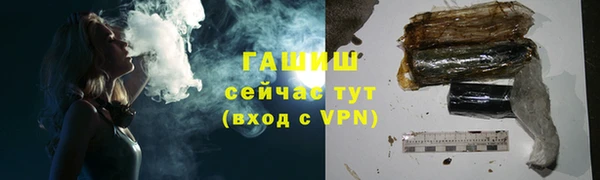 ECSTASY Бородино