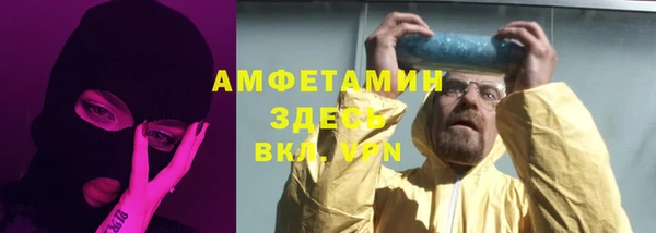 ECSTASY Бородино