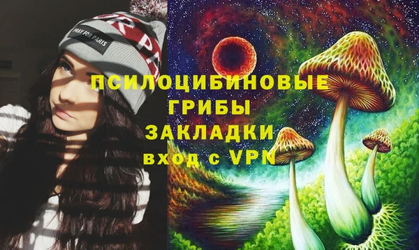 амф Бронницы