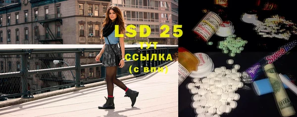 ECSTASY Бородино