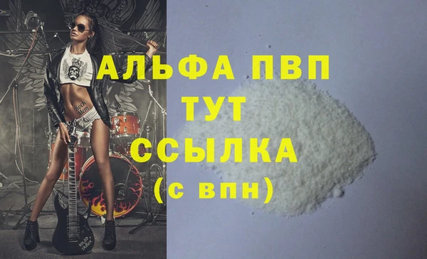 ECSTASY Бородино