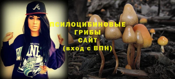 амф Бронницы