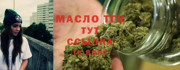 ECSTASY Бородино