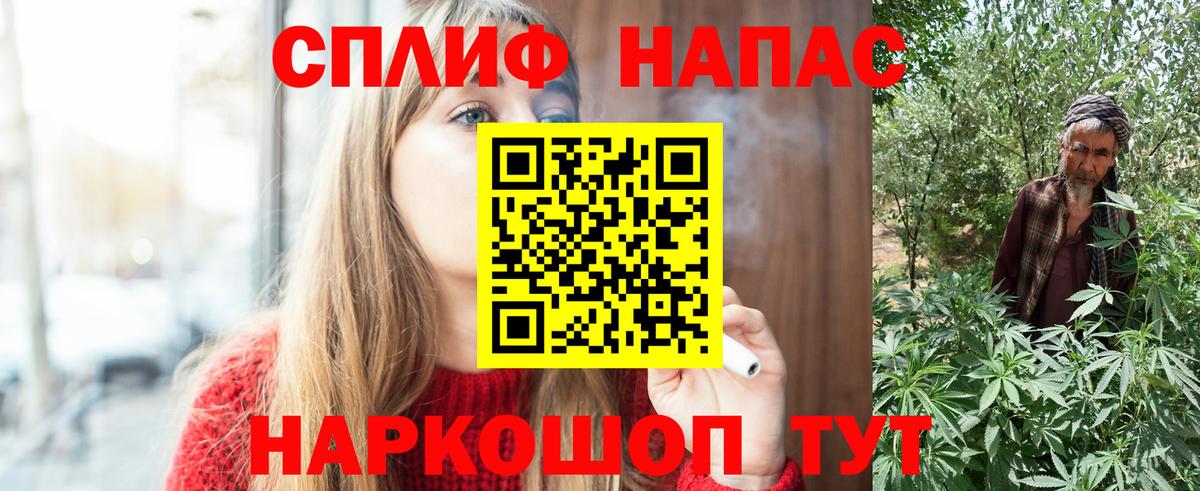 Бошки марихуана план Сыктывкар